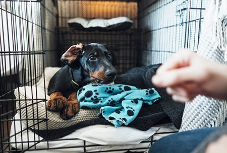 content crate training march25