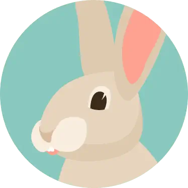 Rabbit Icon
