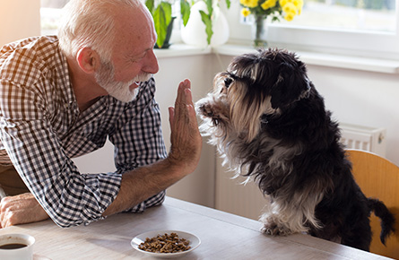 Managing your pet’s weight at home