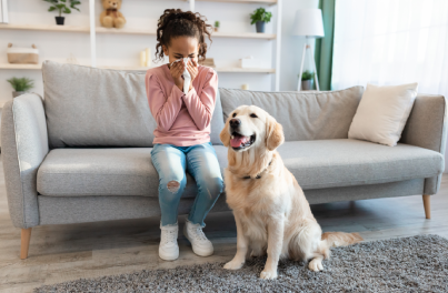 Can pets catch a cold or get the flu?