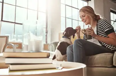 Top Tips for Training New Puppies