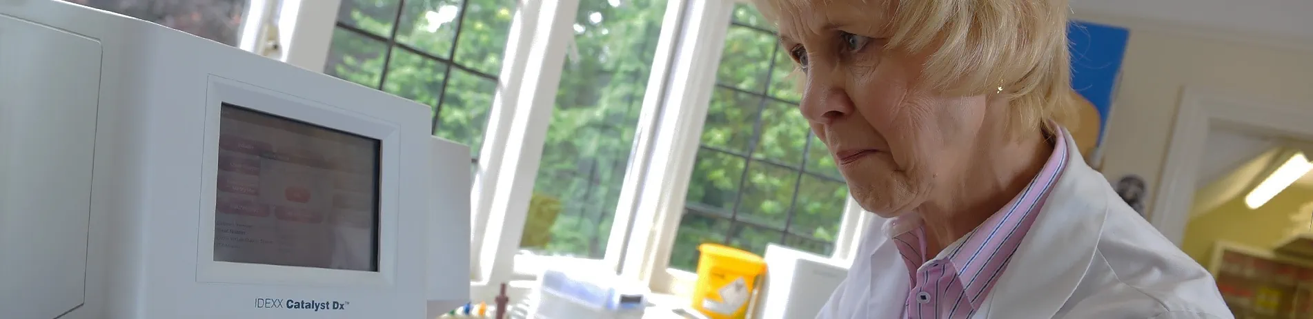 Euthanasia and Pet Cremation