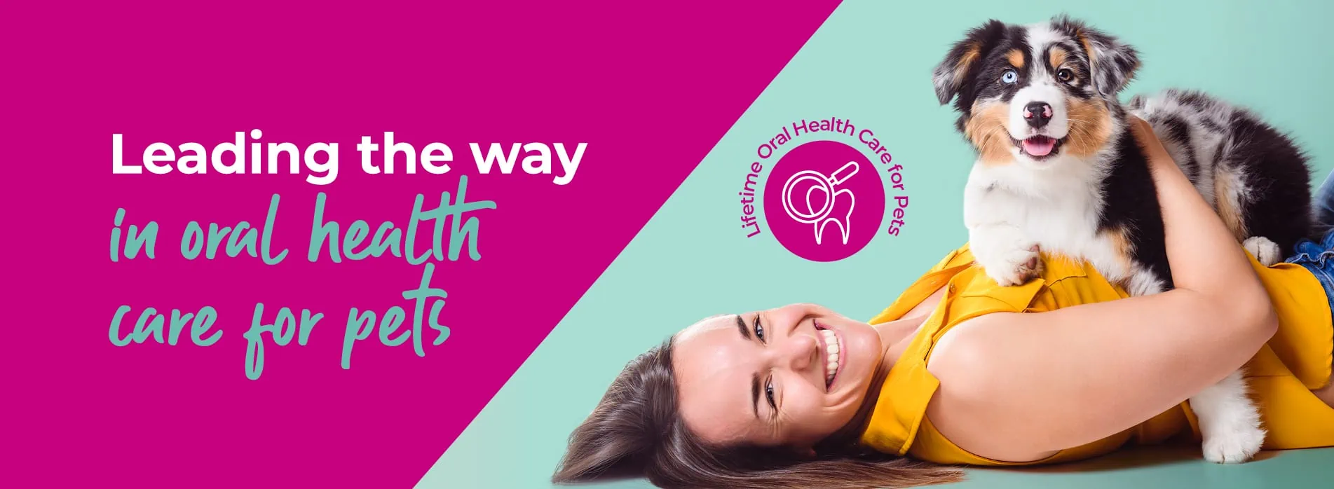 608 Veterinary Practice in Solihull, Bentley Heath and Acocks Green