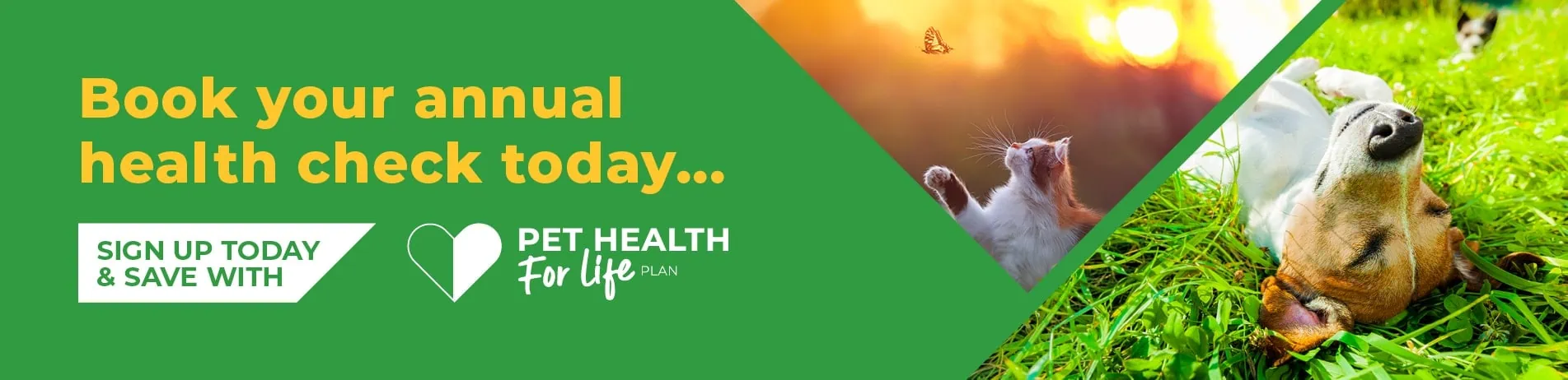 Spring into action and book your pet’s health check today
