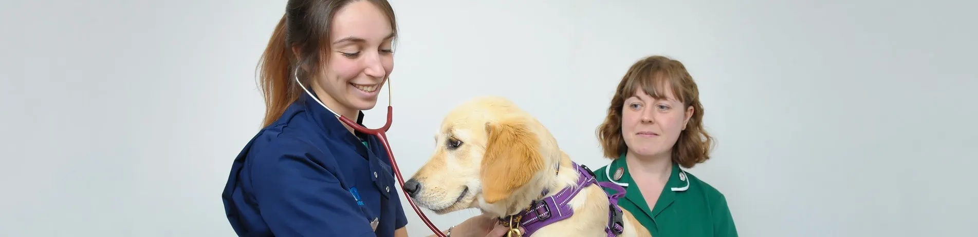 Meet 608 Veterinary Practice Team