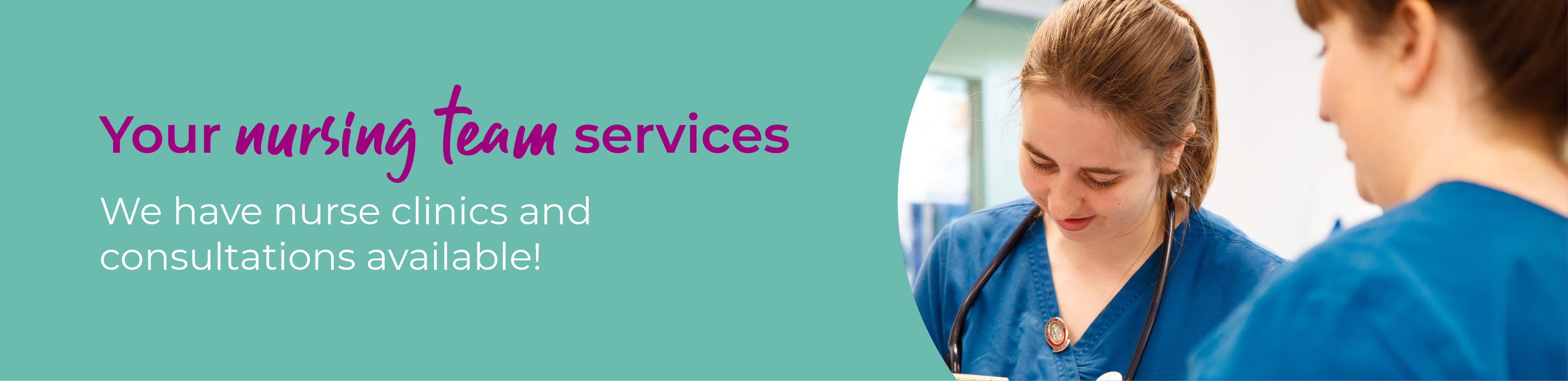 Veterinary Nurse Clinics