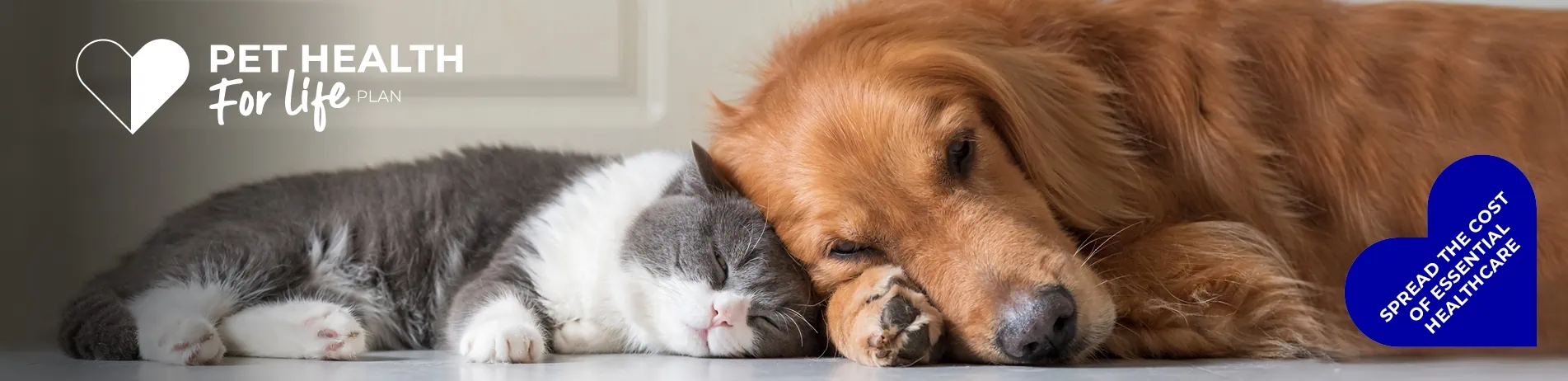 Pet Health for Life at 608 Vets in Solihull