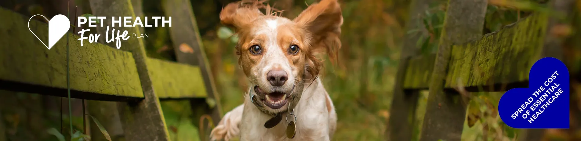 Dog Pet Health for Life Plan