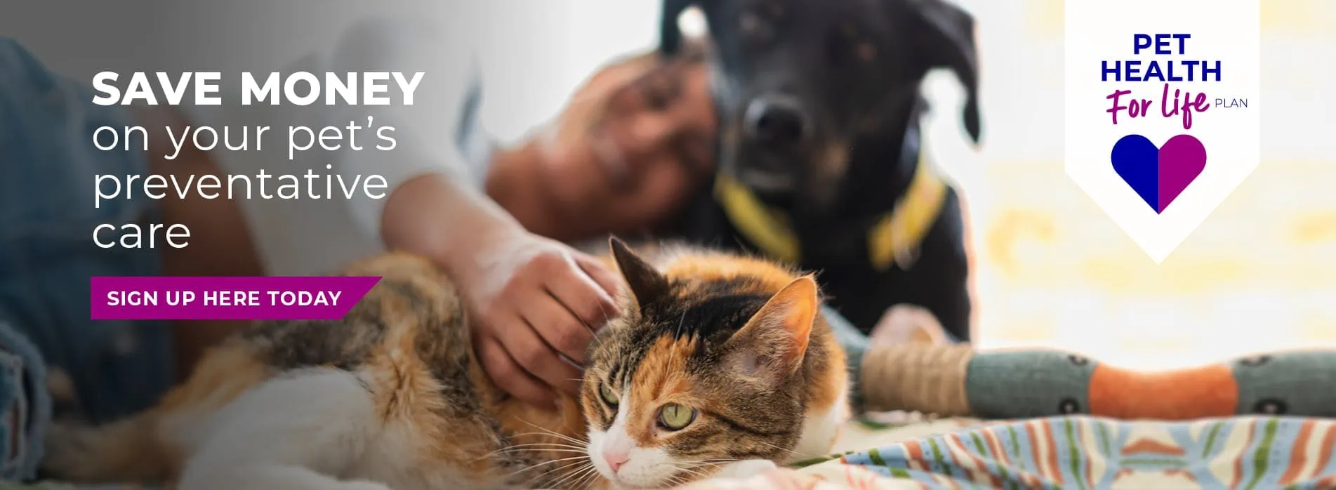 608 Veterinary Practice in Solihull, Bentley Heath and Acocks Green