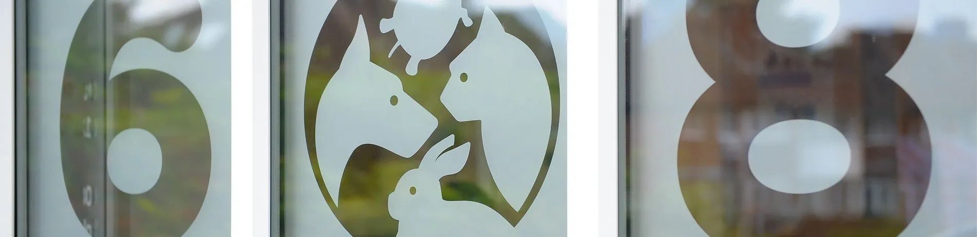 Clients Testimonials